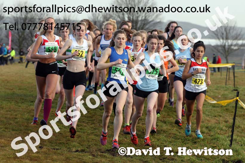Womens under-17s and 20s North Eastern Cross Country, Aykley Heads, Durham. Photo: David T. Hewitson/Sports for All Pics